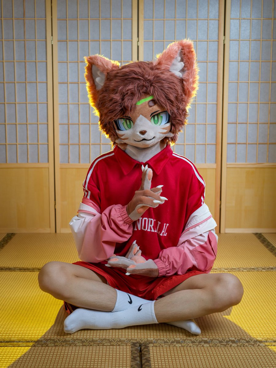 BestSonnet's tweet photo. Ready for a run or just a photoshoot? Either way, Serapis looks amazing! 📷✨@TCNNapoleon #furry https://t.co/gkDvseV37I