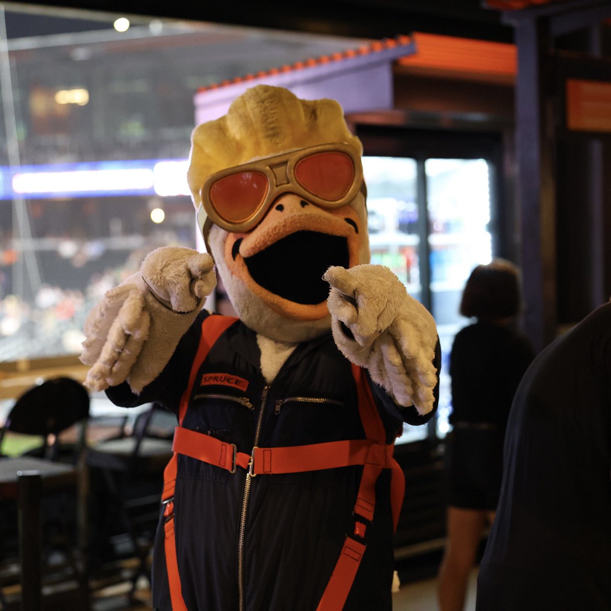 AviatorsLV's tweet photo. Spruce = the ultimate hype man (goose?) https://t.co/hfJmsuRfA7