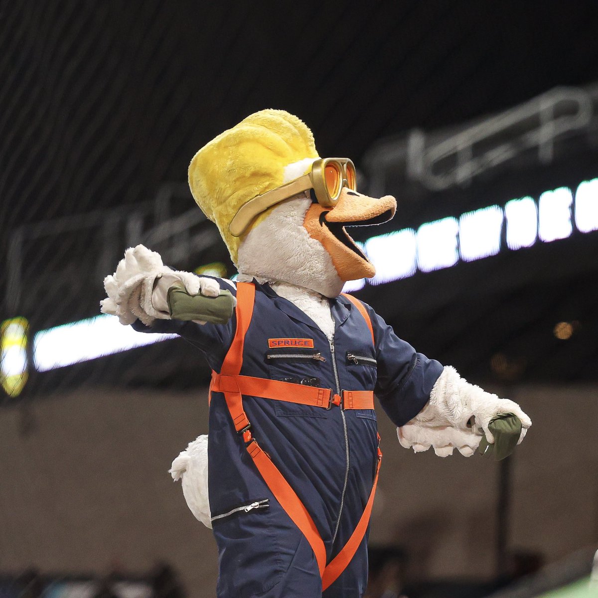 AviatorsLV's tweet photo. Spruce = the ultimate hype man (goose?) https://t.co/hfJmsuRfA7