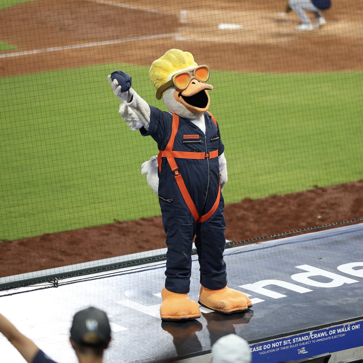 AviatorsLV's tweet photo. Spruce = the ultimate hype man (goose?) https://t.co/hfJmsuRfA7