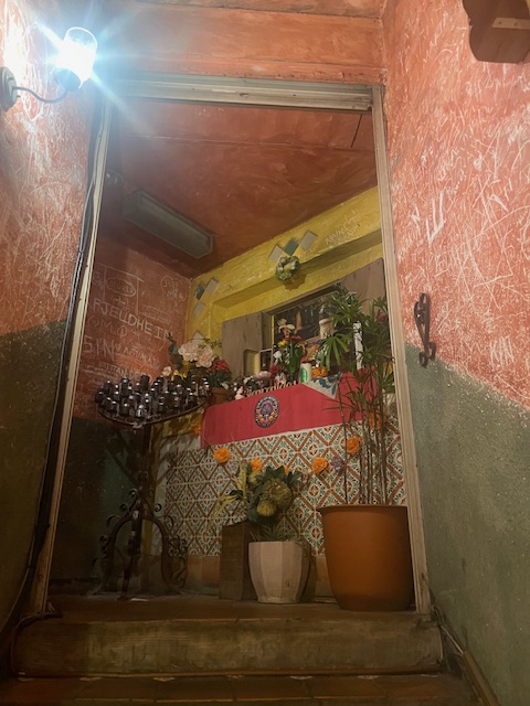 trust_growth_'s tweet photo. そろそろ梅雨明け🐌🌱

今日のような真夏日には
＃メキシコ料理 はいかがですか🇲🇽

＃フォンダデラマドゥルガーダ
＃FONDADELAMADRUGADA
#トラストグロース
＃人材派遣紹介会社
＃医療福祉 https://t.co/eDZ6kWBVpg