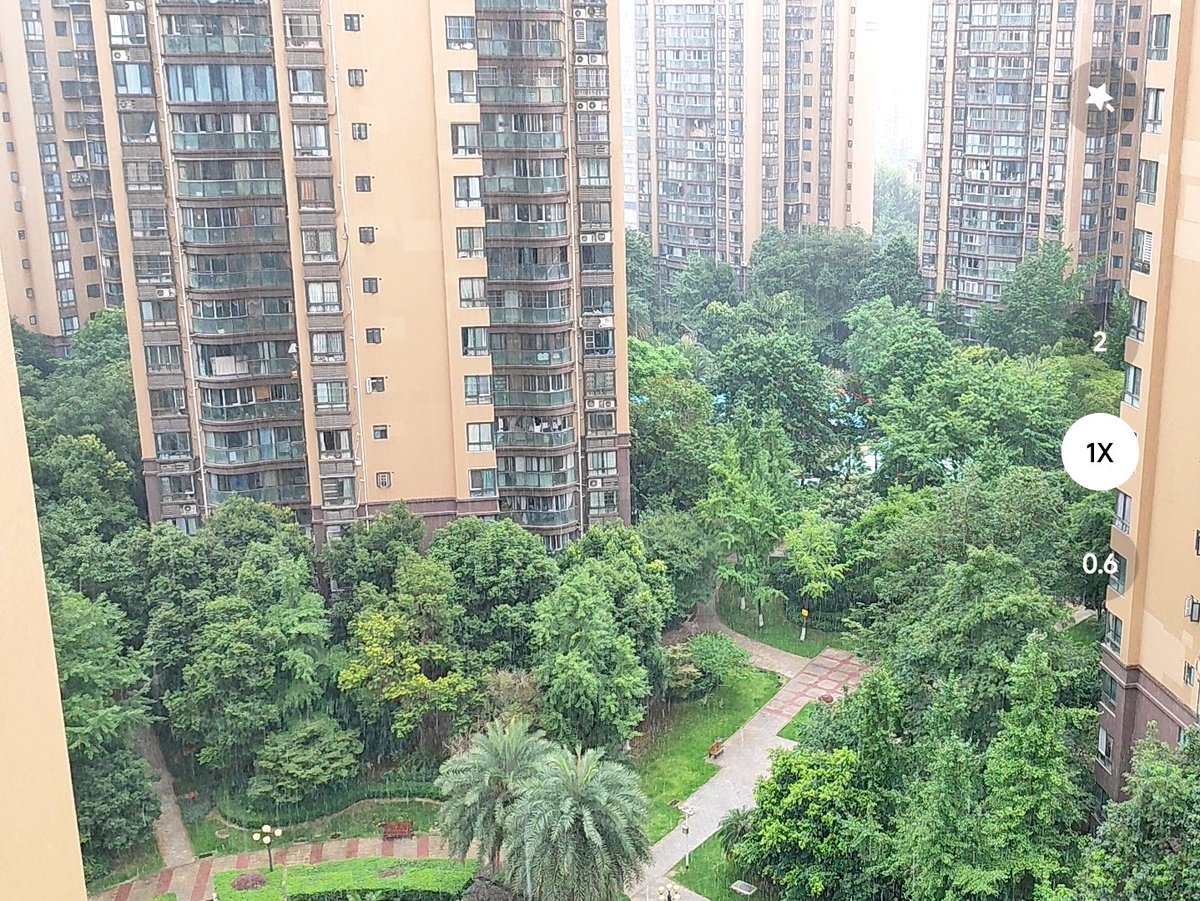 FeltSquirrel727's tweet photo. 下雨了 https://t.co/Os4BbQGiI4