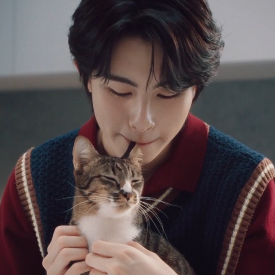 hianwtp's tweet photo. ช่วยด้วยน่ารักมากน้องแมวสองก้อนนิละเหมียวหลับตาตอนเอเองับหู🥺💖 https://t.co/kFCYgU3S1c
