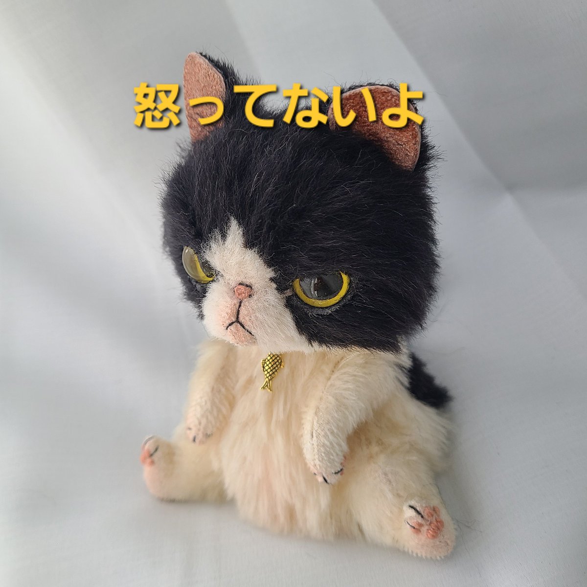 chocochan151515's tweet photo. ハチワレ誕生しました🎵 https://t.co/LBeOq7KnWW