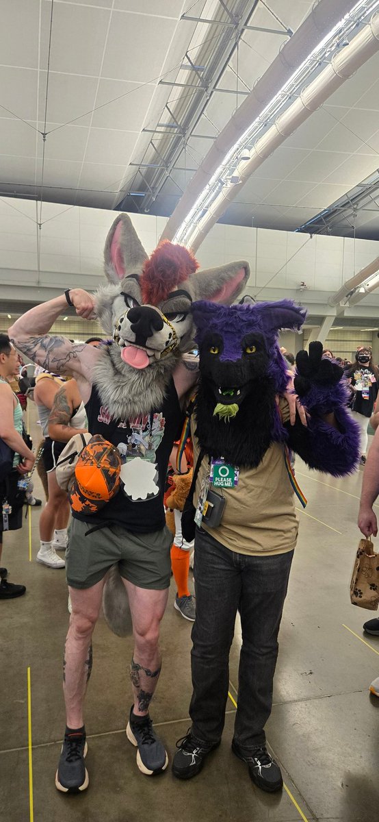 Jeremyjerome10's tweet photo. Met well-known Muscle/Fitness Fur @shreddyfox during the musclefur meet. Big, and so friendly. Love getting the pets and head scratches. Hope I get to see you again at a future meet. https://t.co/AUhVD6Kp4W