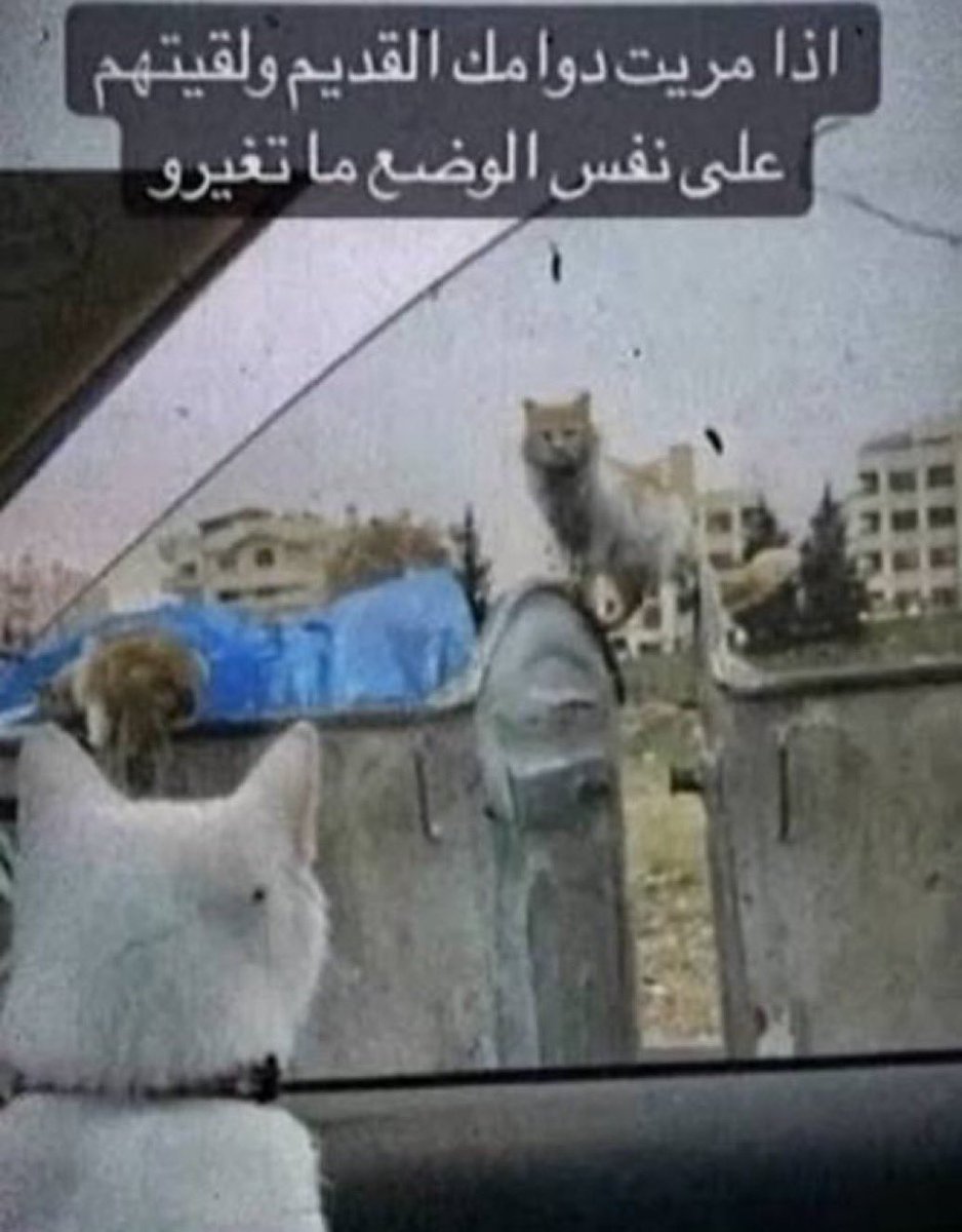 ravvz15's tweet photo. قطعت الكيبوب ورجعت ولقيتهم على نفس وضعهم https://t.co/6YyBbAMAto