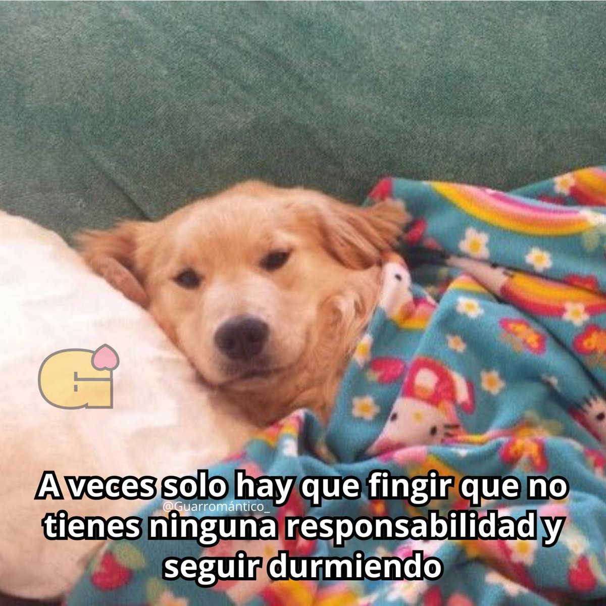 Guarromantico_'s tweet photo. A veces. https://t.co/lHjRD2RnSw
