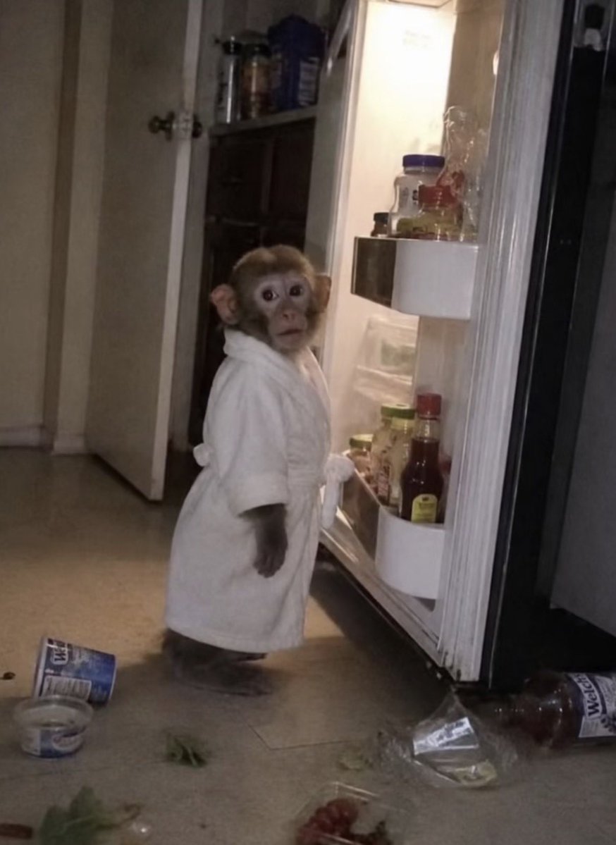 twaniimals's tweet photo. https://t.co/5obsOvMzt9