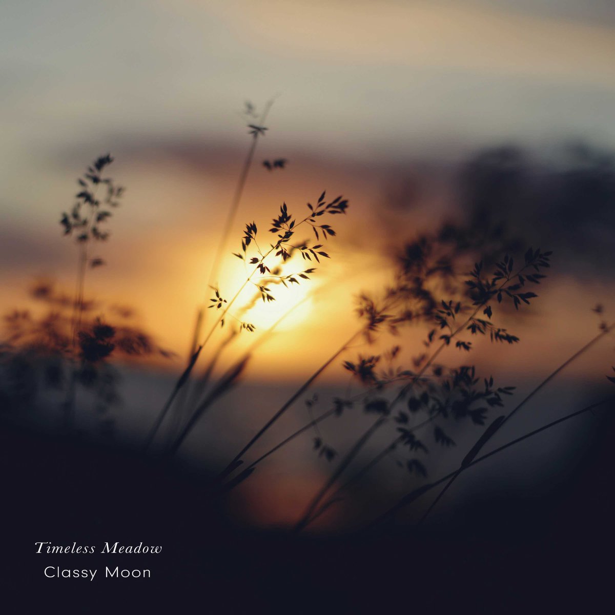 moonclassy3's tweet photo. ✎── ⊹₊˚

自然の移ろいと追憶を描く、
528Hzソルフェジオ・ヒーリング作品🍂

『 Timeless Meadow 』

　　　　　⋯2026.7.3(Fri.) 配信開始

　　　　　　　　　　　　───･♩*ﾟ

- - - - - - - - - - - - - - - - - -

ノスタルジックな情景を描いた、
全10曲のピアノ・アルバム。

▸▸▸ https://t.co/NOUyVLHiXO