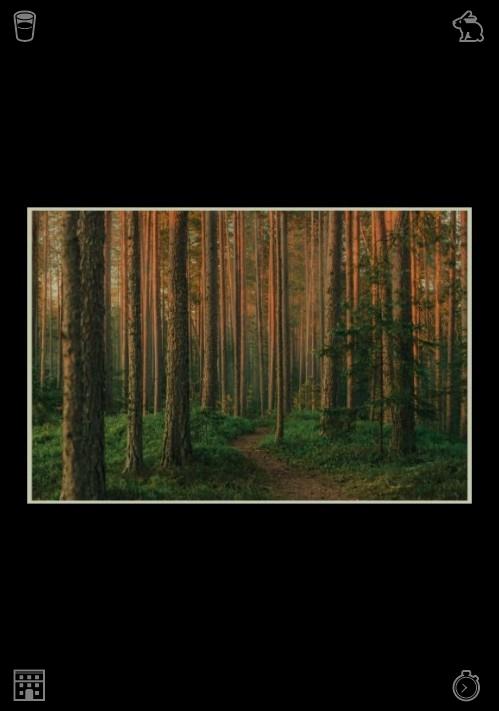 EmilyNovkovic's tweet photo. On a rainy day, I hike a muddy trail; despite my boots slipping slightly, I don't mind. The rain enhances the beauty of the woods, making the leaves glisten and the air feel fresh and clean. Meanwhile, the dog sleeps on the carpet near the entrance door. https://t.co/mlEAKwiQ7U