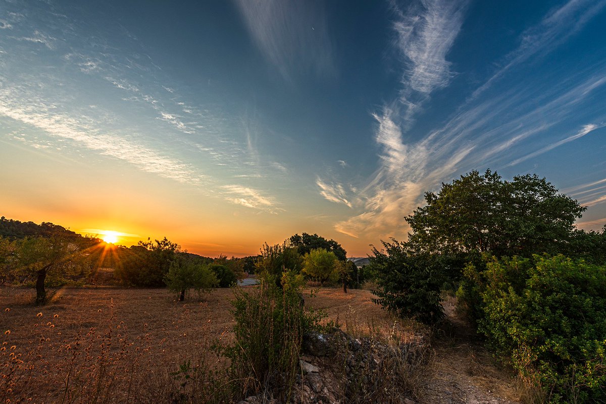 santquintimeteo's tweet photo. Buenos días, #salidadelsol hoy con pinceladas de cirrus, mínima de 19.6º. @tiempobrasero @Tiempo_Mercedes @HimarGonzalez @marcredondo @MeteoredES @RosaliaFdz @AEMET_Cat @ame_asociacion https://t.co/sdmJMYZ91x