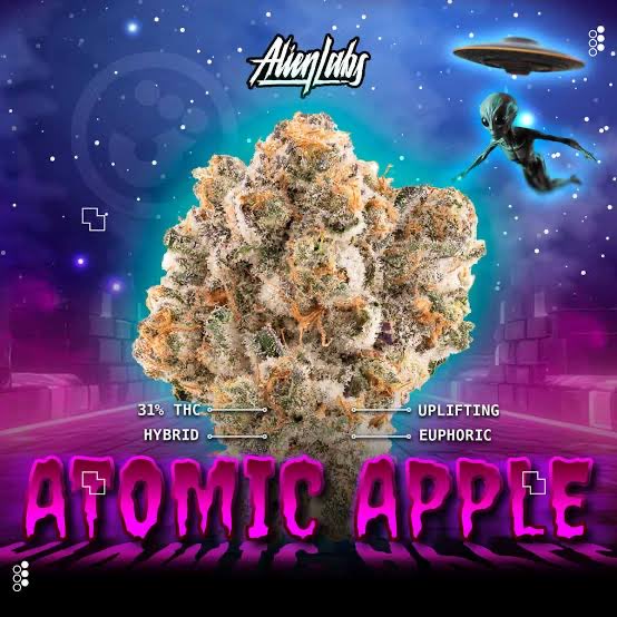 Ruinedfish's tweet photo. @Ben_grows @MercyLounge707 This is that shit that makes you feel high as a kite and happy af. My personal favorite of their lineup. If you don’t like Apple terps and complex flavor profiles, then steer clear of this one 😎. Always check the packaged by date though bro https://t.co/xitq023bQ5