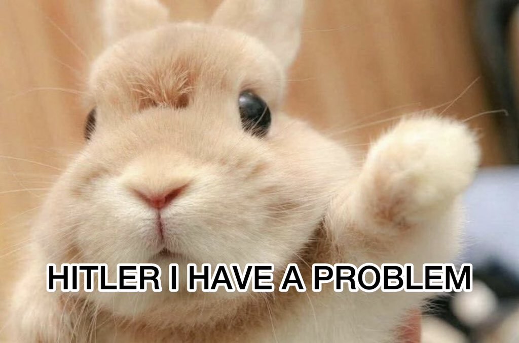 Bunnymaxxer tweet media
