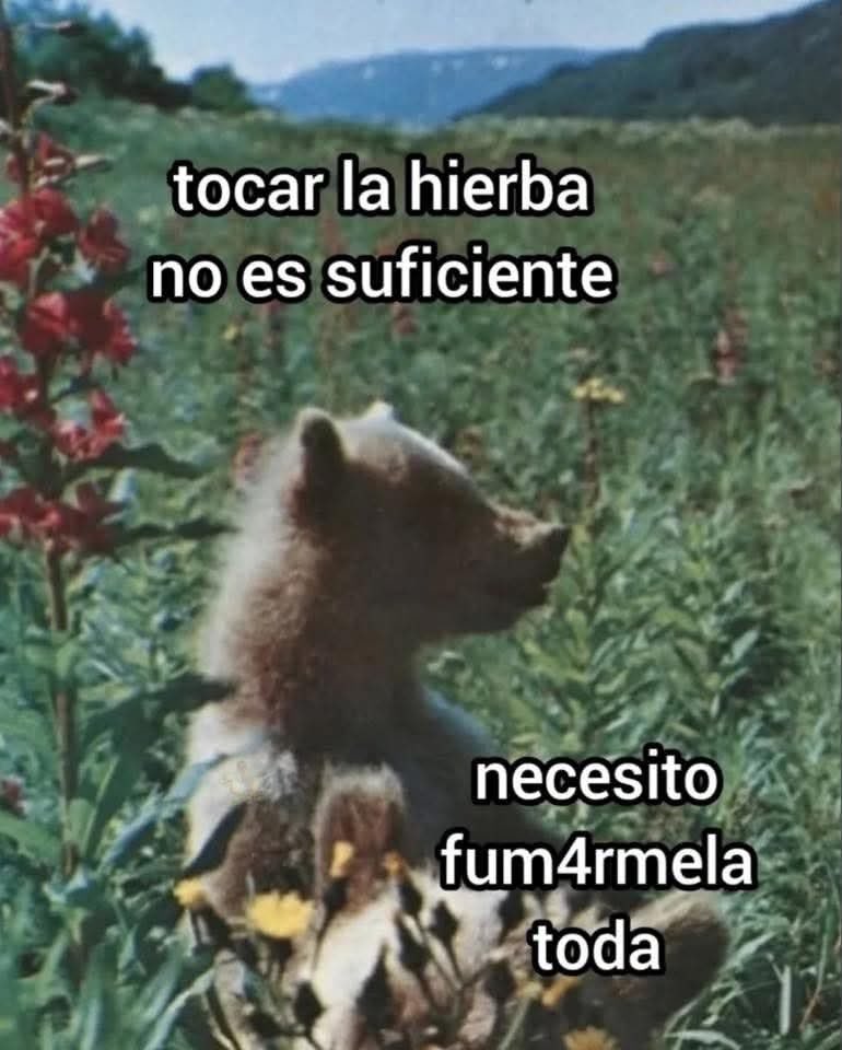 PSYCONAUTAMIEL's tweet photo. https://t.co/xu7M6B1ZFd