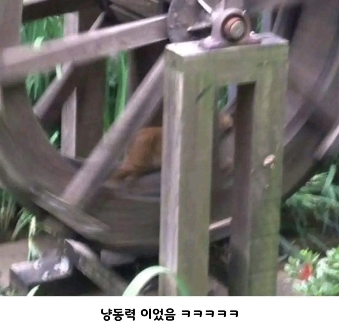 bomby37's tweet photo. 아파트의 물 없이 돌아가는 물레방아 https://t.co/OwRPQkkY7m