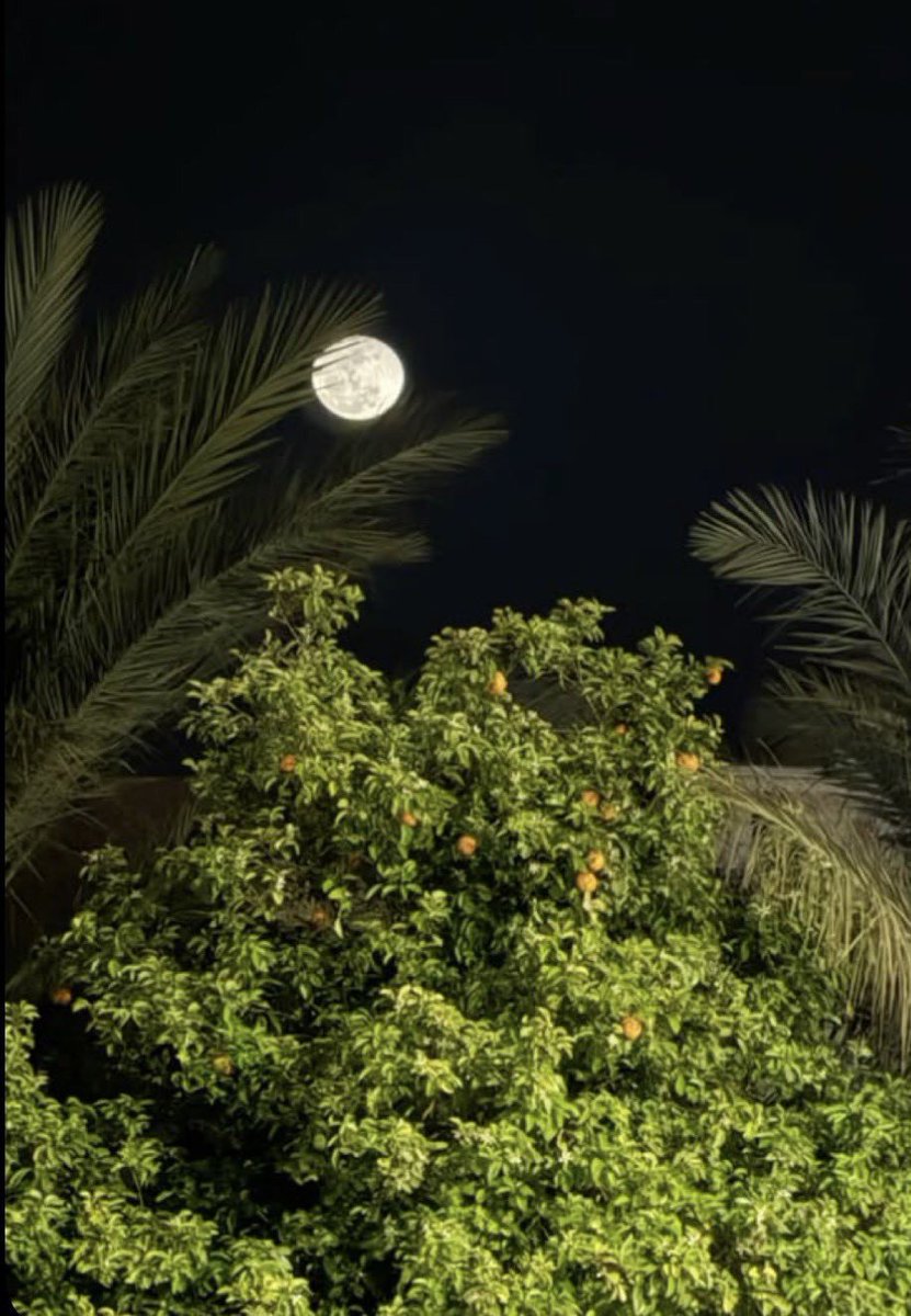 salwa112s tweet picture