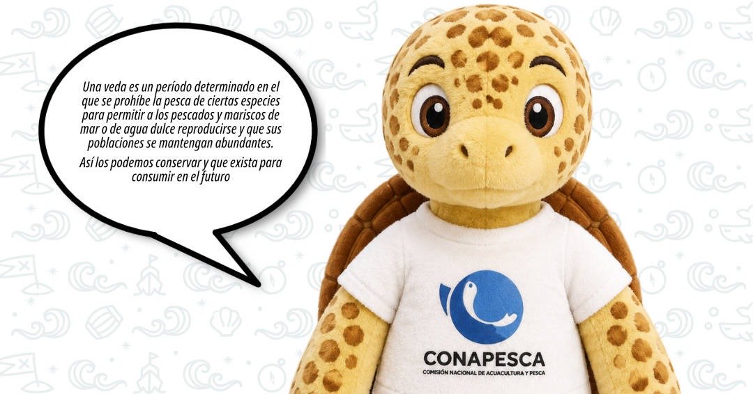 Conapesca's tweet photo. ¿Tienes las mismas dudas que Pulpo Maya?

¡No te preocupes! Maki llega al rescate y te explica paso a paso.

Conoce los periodos de veda para especies marinas y dulceacuícolas en el siguiente enlace: https://t.co/8qbacOHSCL

1/3 https://t.co/AlOvmcMVup