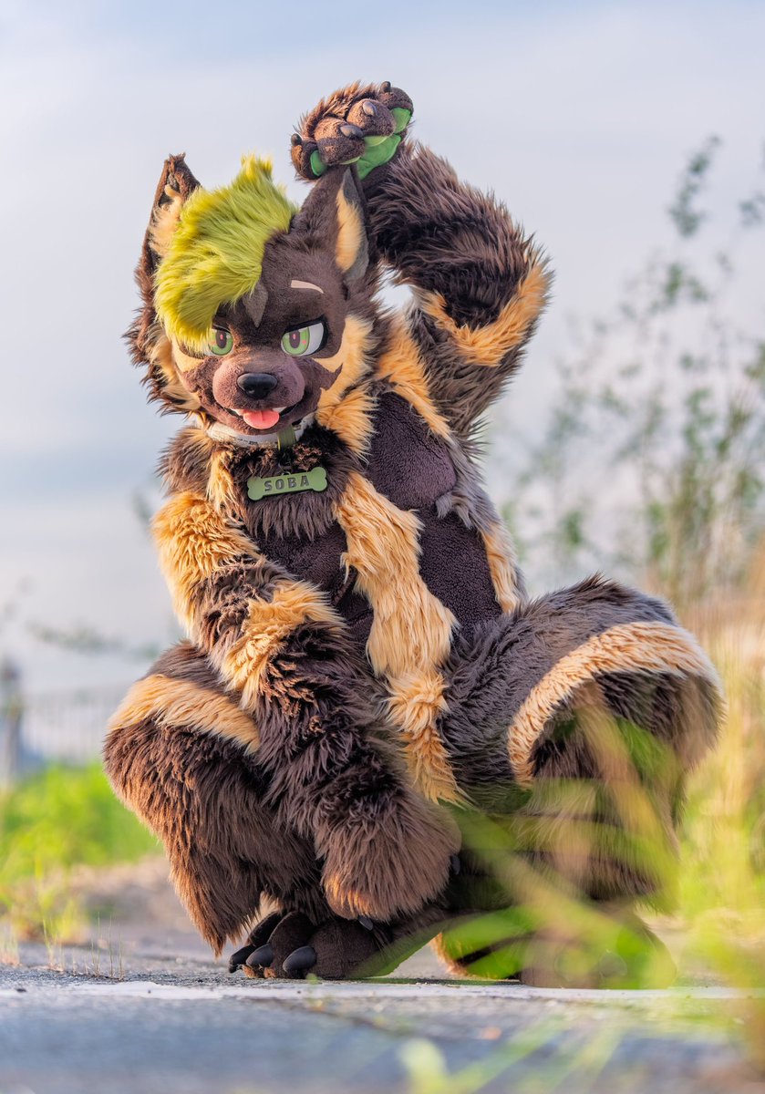 SobaTaiwan's tweet photo. 招きハイエナ✨
#fursuitfriday https://t.co/NIjRT7Uz4c