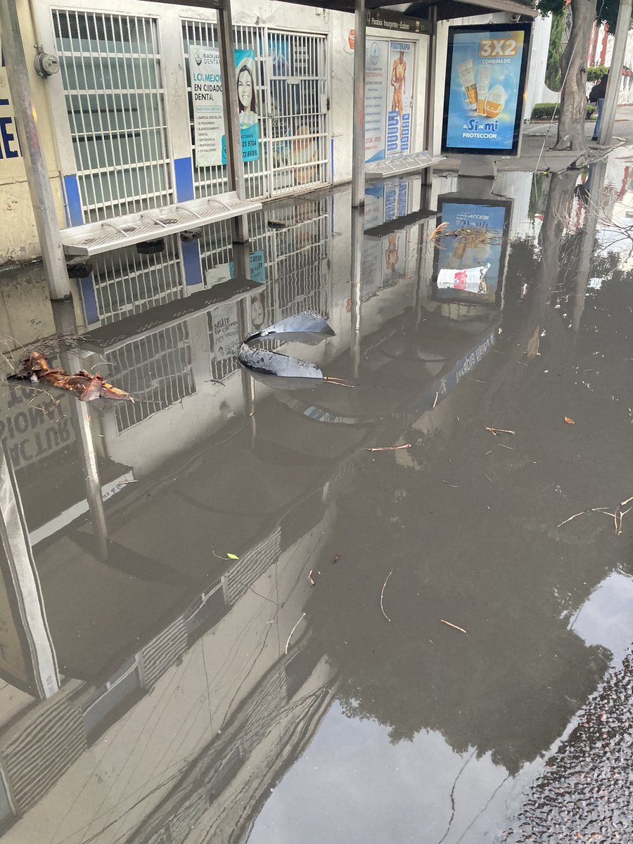 flordiazdeleonf's tweet photo. @LaSEMOVI @SEGIAGUA @TuAlcaldiaGAM @SOBSECDMX 
SOLICITO ATENTAMENTE que atiendan la situación: desalzolvar la coladera y tapar un bache enorme que ya ha causado daños a vehículos. 

Lateral de Insurgentes Norte casi esquina con Euzkaro. Col. Industrial. Cada vez está peor. https://t.co/TuMJrjkX0t