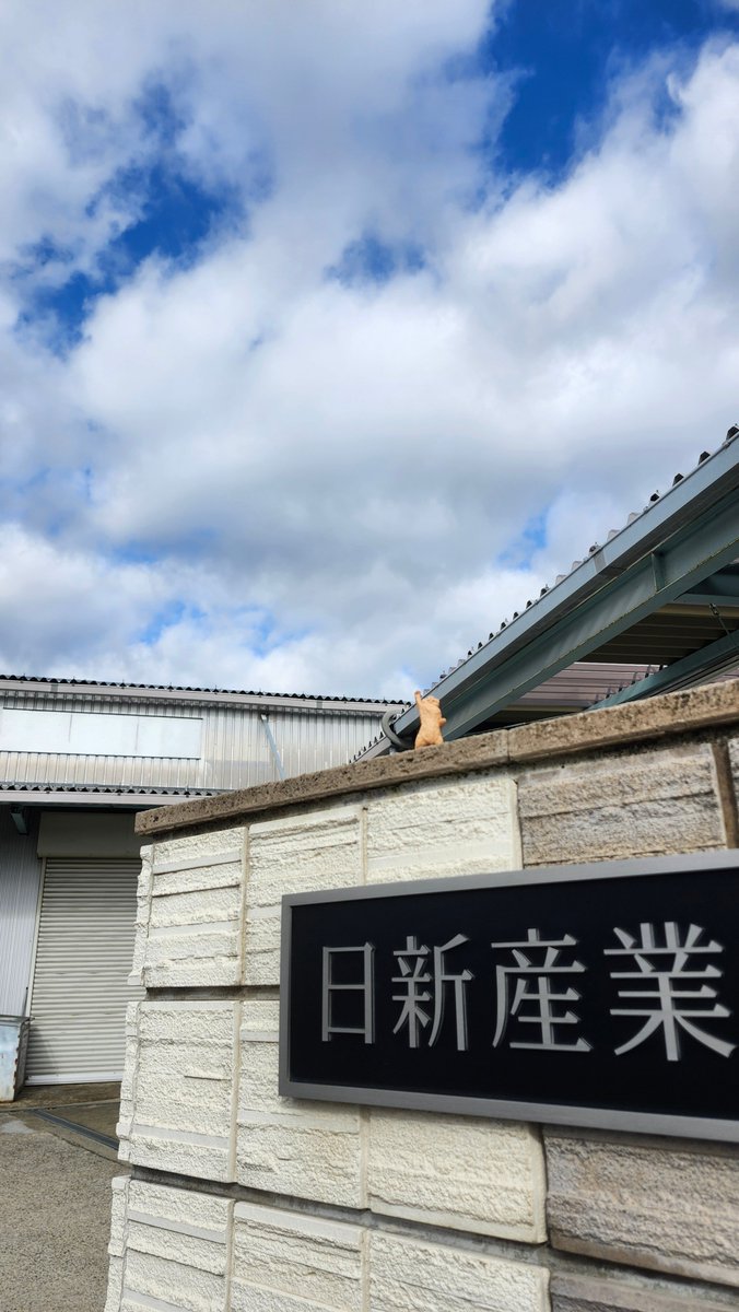 nissin_sangyo's tweet photo. #栗東市 晴れ
いつも同じとは限らない・・・
営業さんも一本の電話で
一日の予定が変わることもあるし
現場も予定していた荷物が届かなくて・・・
事務所も然りで・・・
臨機応変にいきたいですね!!
押忍(๑ •̀ω•́)۶
#企業公式が朝の挨拶を言い合う
#企業公式つぶやき部
#製造業
#Shiga https://t.co/0oWeRX6tYr