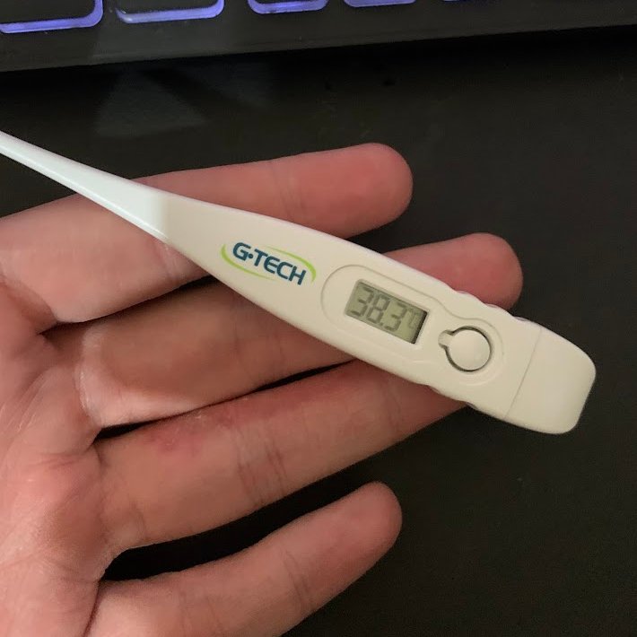 willzus's tweet photo. fotos que você receberia se namorasse comigo https://t.co/XXgfv8REtc