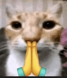 solarkarii's tweet photo. qsmp admins if your hearing this please let there be a qsmp movie night before the server closes for a month PLEAASE 🙏🙏🙏 https://t.co/UgqdqFheRq