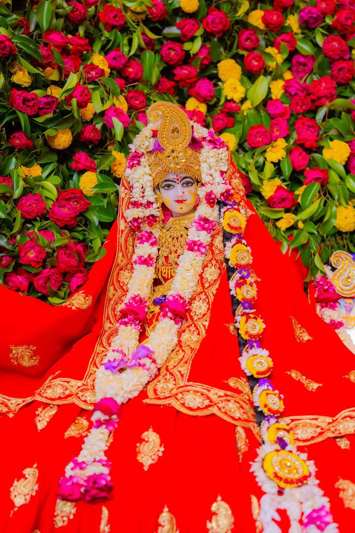 yogi1056's tweet photo. गुणाध्यक्षा गणाध्यक्षा गवोन्गती गुणाकरा।
गुणगम्या गृहलक्ष्मी गोप्येचूडाग्रमालिका  ॥

जय जय श्री राधे।
🙏🌷 https://t.co/ct0EAxKpQl