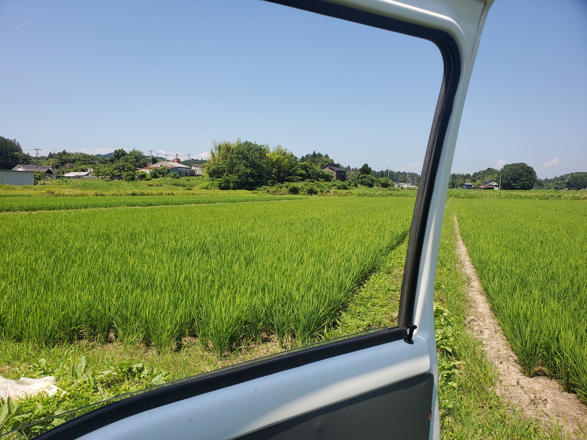 tarap0103's tweet photo. 明日の休日出勤の為、本日代休。
中干し終わったので1日かけて水入れっぞー https://t.co/h5BYx9Zyty