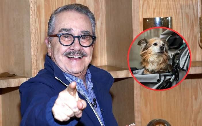 QuintanaRuben4's tweet photo. Legalmente no hay delito.
En corto: decir "me dan ganas de envenenar" no es delito en México... mientras se quede en ganas.

Te explico por qué:

1. No es confesión de un delito
Él no dijo "yo envenené perros". Dijo que "le dan ganas". Pensar o desear algo, aunque esté culero🧵⬇️ https://t.co/P7lzP6decF