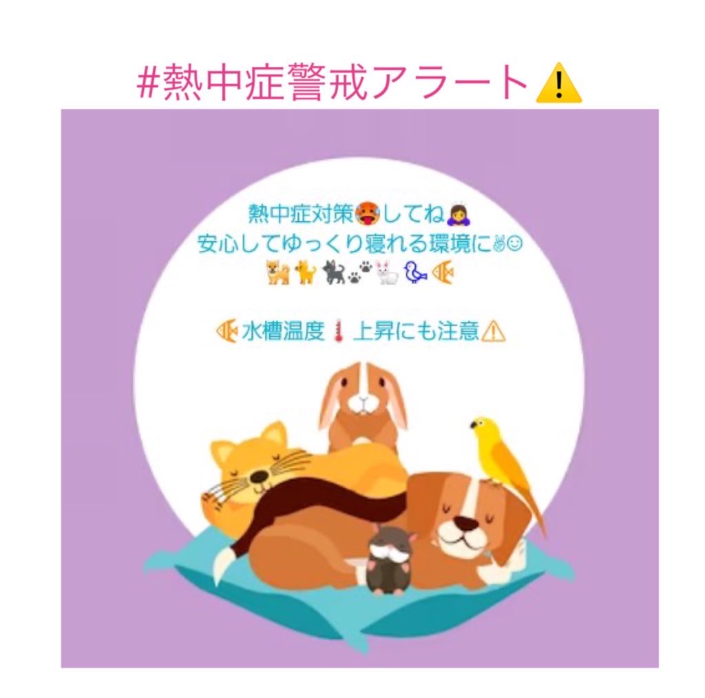 hana1015__'s tweet photo. #熱中症警戒アラート 🌡🥵

大切な家族のペットの🐶🐱
#熱中症対策 をお願いします

外出時に🐈エアコンのリモコンを
踏んで消してしまわないように⚠️
飲み水がなくならないように🚰
気をつけて下さい

お外の🐈にもお水や日陰など
ほんの少しの優しさをお願いします🙇‍♀️
#犬
#猫 
#猛暑日
#熱中症 https://t.co/rWSDqYbIdR