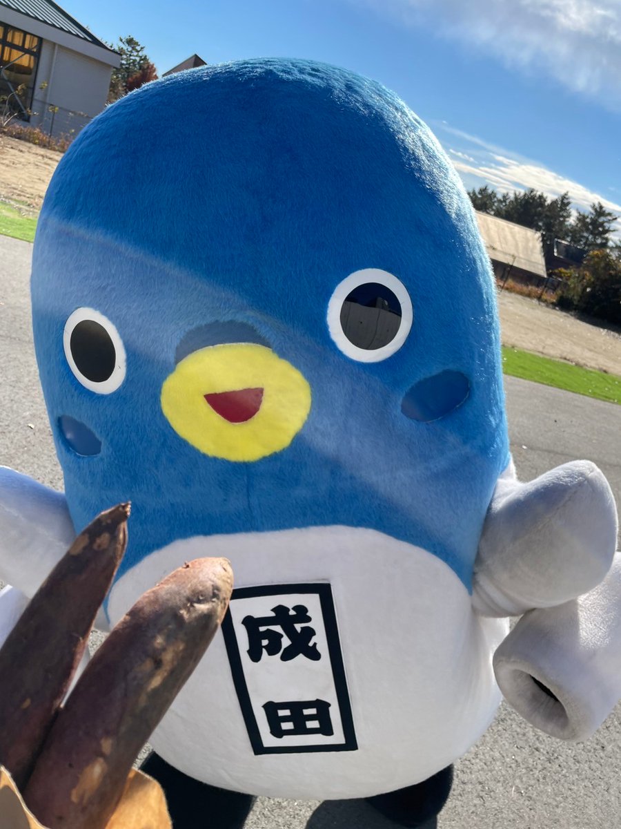 unarikun_narita's tweet photo. みんなおはよ～。今日は、#おやつの日。おやつをた～くさん食べてもいい日ってきいたから、たくさん食べま～す！幸せ～。うな。

#成田名物
#サツマイモ大好き https://t.co/InDL3T8Ak3