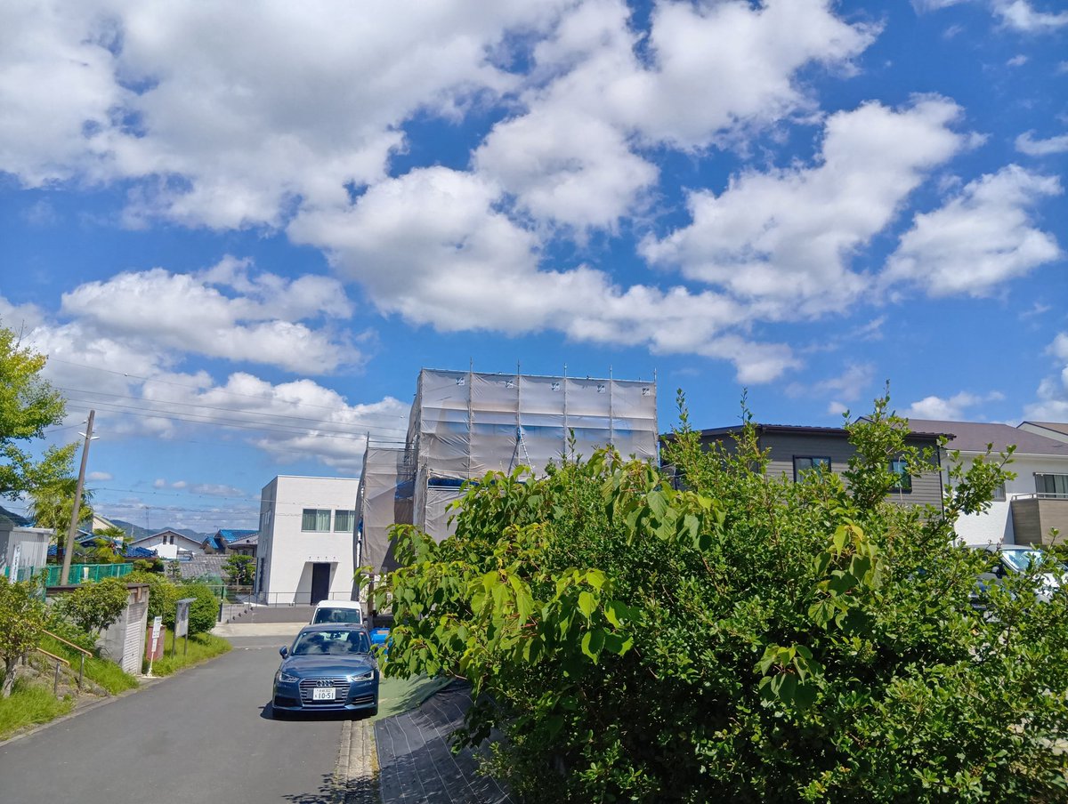 kenso_ad's tweet photo. 快晴！木造の構造体検査。今日も暑くなりそう。水分補給忘れずに。
今週もあと1日ぼちぼち頑張りましょ。 https://t.co/x9Uf11uhTh