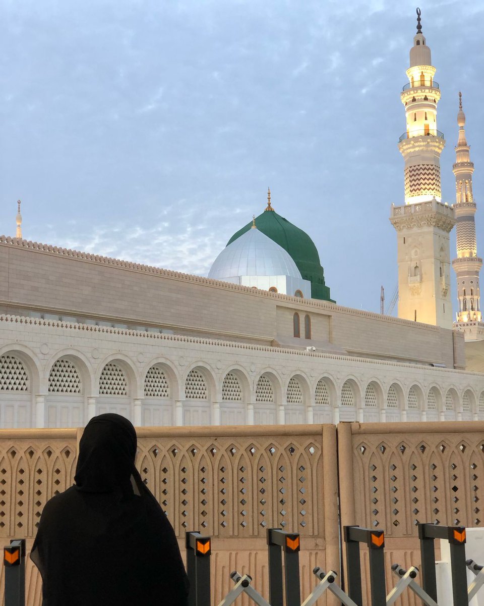 سـدين الجـبور tweet media