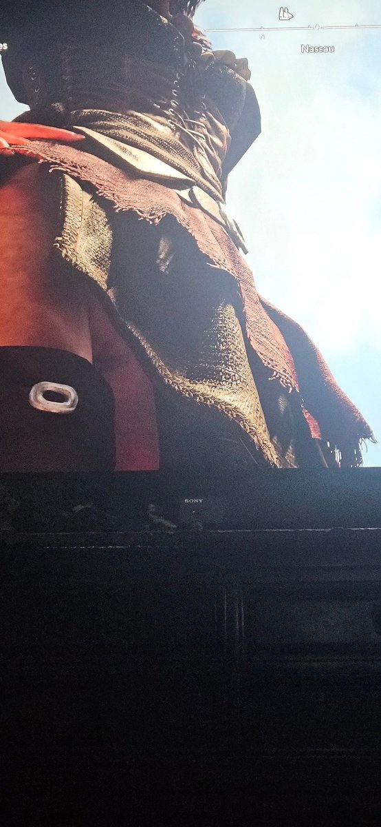 Richpalumbo3's tweet photo. I looked up a random skirt in #assassin's creed blag flag resynced and didn't expect to actually see what I hoped 😅 https://t.co/hhavIIp7cS