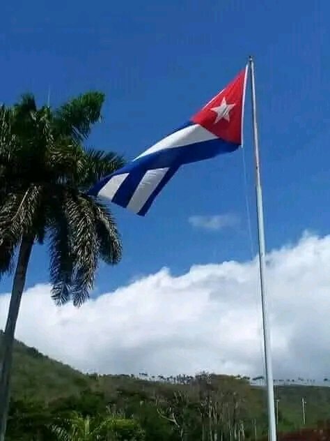RoqueMachin's tweet photo. LA PATRÍA SE DEFIENDE POR ELLA LA VIDA.
#ResistimosFirmesYVenceremos.
#LaLuchaEsAMuerte.
#LaLuchaNoHaCesado. https://t.co/IRabmbCoM4