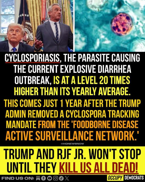 Michigan Reports Record 992 Cases of Cyclospora Outbreak Amid Summer 2026 Health Scare — HM1HGMJakAASUtS Michigan Reports Record 992 Cases of Cyclospora Outbreak Amid Summer 2026 Health Scare — HM1HGMJakAASUtS