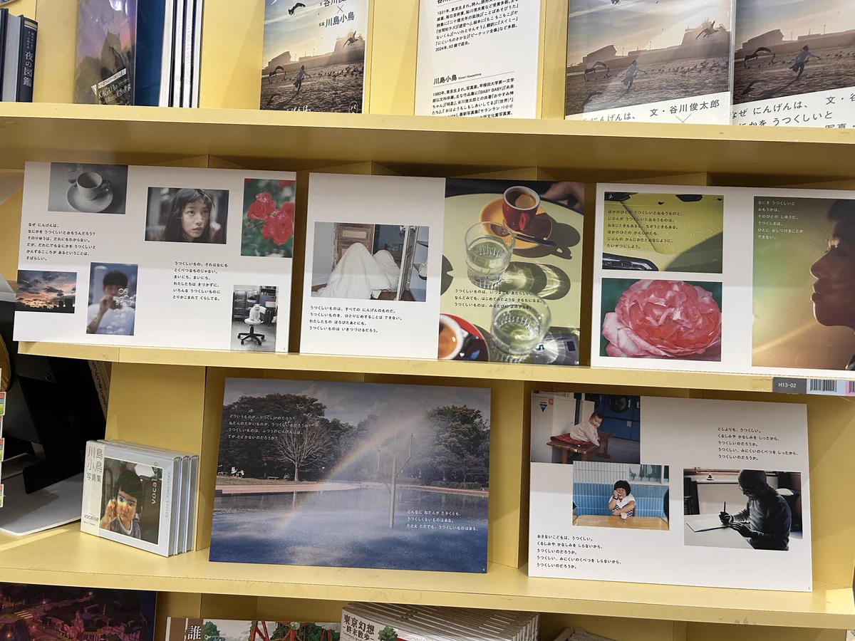 紀伊國屋書店流山おおたかの森店 on X: 