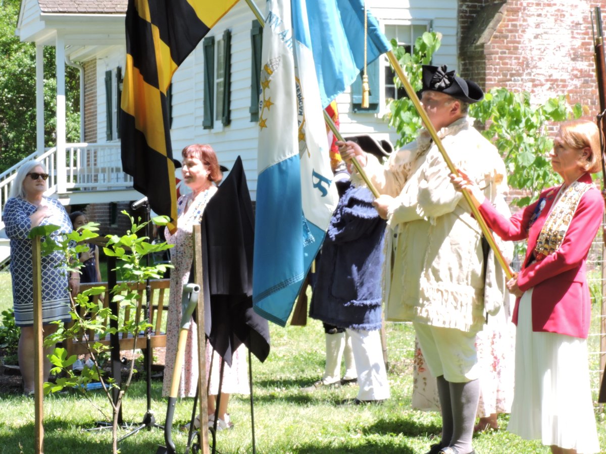 SharonLeeSays's tweet photo. From @DAR chapters planting a Liberty Tree at #TheRisingSunInn to readings of the #DeclarationofIndependence, America's 250th birthday well celebrated. Parade postponed, but Americaโs 250th Anniversary celebrations proceed throughout Anne Arundel County โ https://t.co/X4vD6WM6hB https://t.co/PbmqrIW2tC
