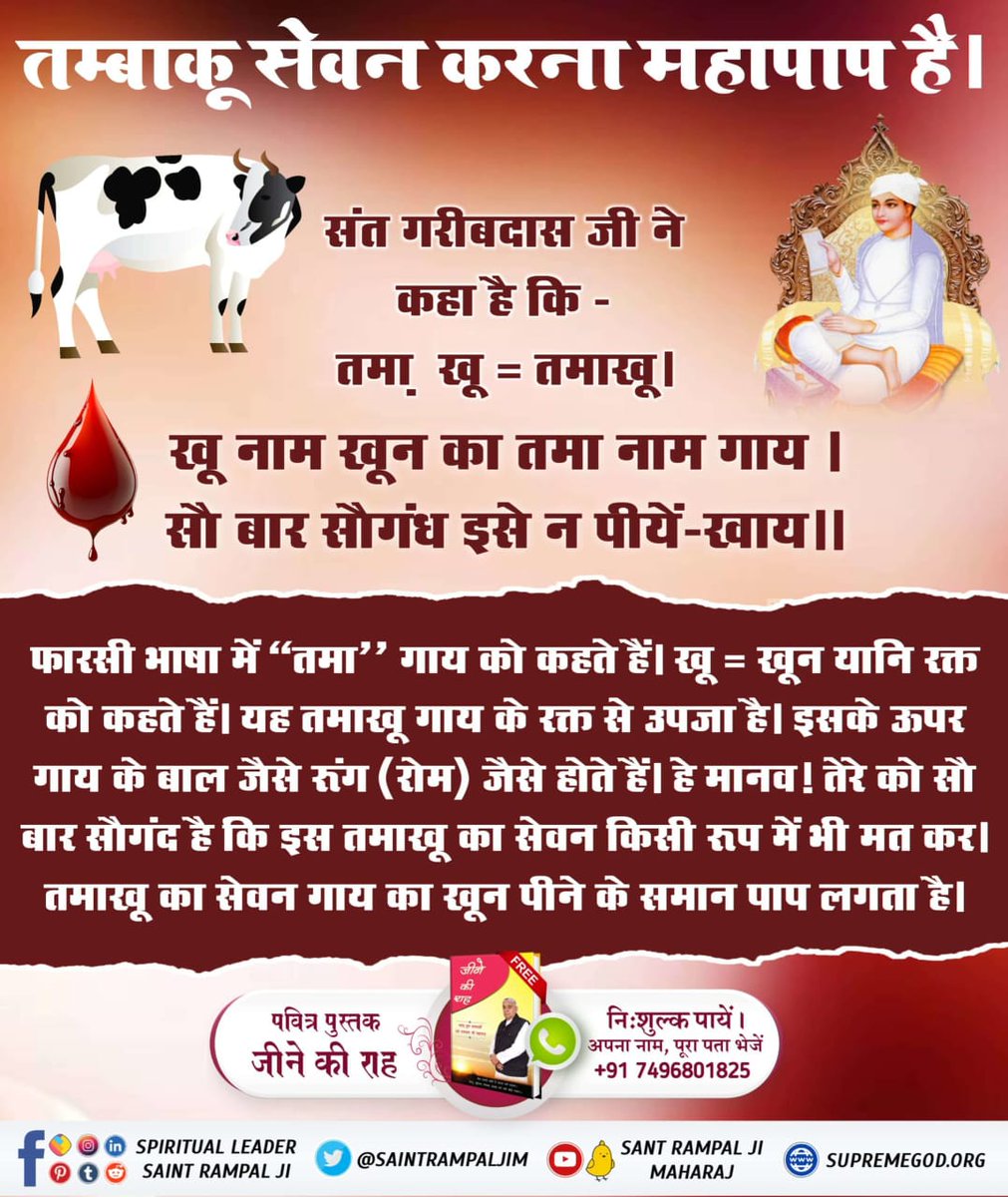 MissionSatlok24's tweet photo. #शराब_पीना_महापाप
तम्बाकू सेवन करना महापाप है।
संत गरीबदास जी ने कहा है कि:-
तमा + खू = तमाखू।👆
खू नाम खून का तमा नाम गाय।
सौ बार सौगंध इसे न पीयें-खाय।।
Sa True Story YouTube⏯️
@anitada23854181 https://t.co/hIS0wext3b