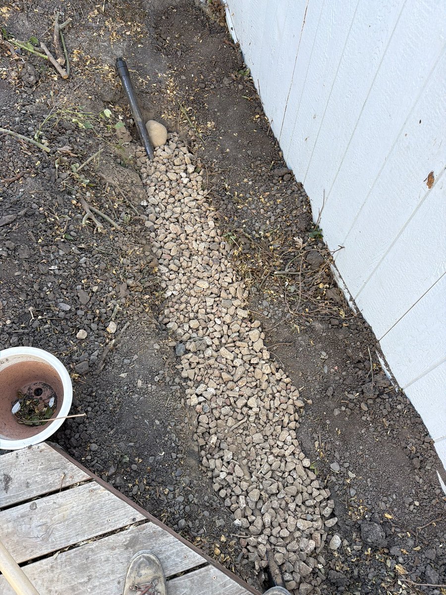 michaeldukeid's tweet photo. Crowded rose bushes near deck with outdoor sink -> grey water drain + artichokes, dragon fruit, grape, lime, and pomegranate. 

Turn waste water into passively irrigated food production! https://t.co/F2BESqCMP2