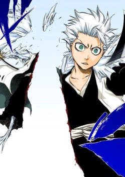 BJimmy04's tweet photo. @_Yoruichi_X Toshiro, this was genuinely a moment of Horse shit https://t.co/eckf2piCBH