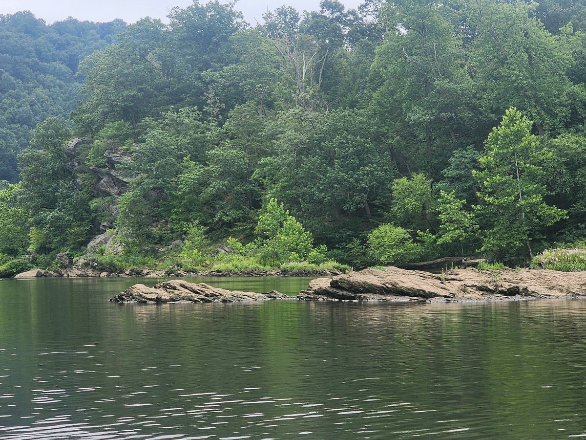 ghostinthePin3s's tweet photo. Just a amazing time on the water for a few days https://t.co/cnJbMDyStU