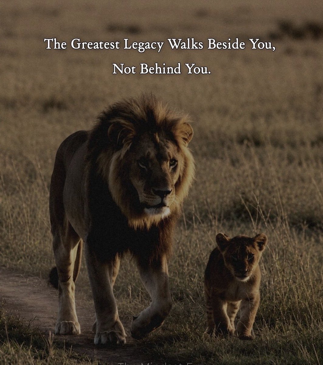 RealMidge's tweet photo. 👑🦁👊🤠🙌💪
✨Teach them relentless discipline and to use failure for growth.
Don’t be scared to lose and learn ✨ https://t.co/0mM0nZL0b7