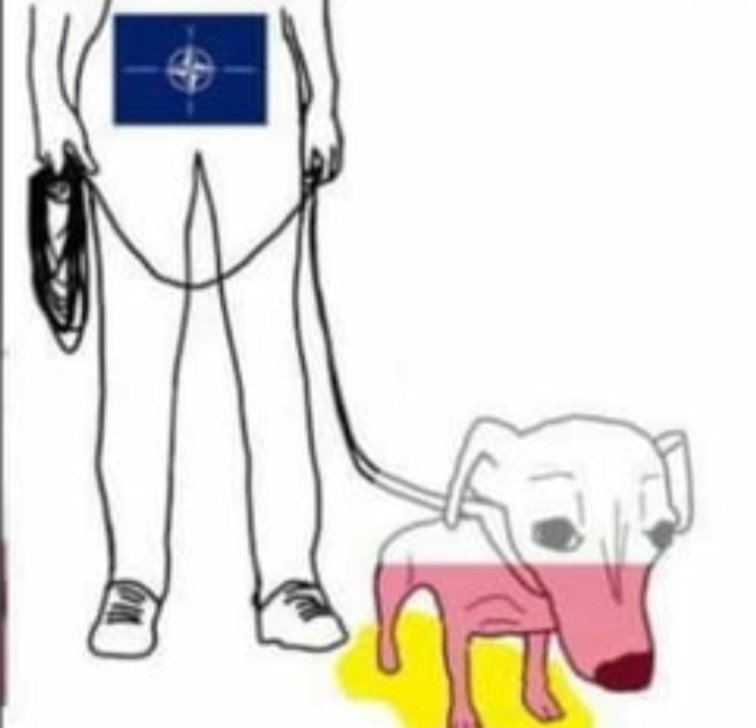 Saw_Bonz's tweet photo. @BartosiakJacek Tak jesteśmy postrzegani niestety https://t.co/6sW4HEotKf