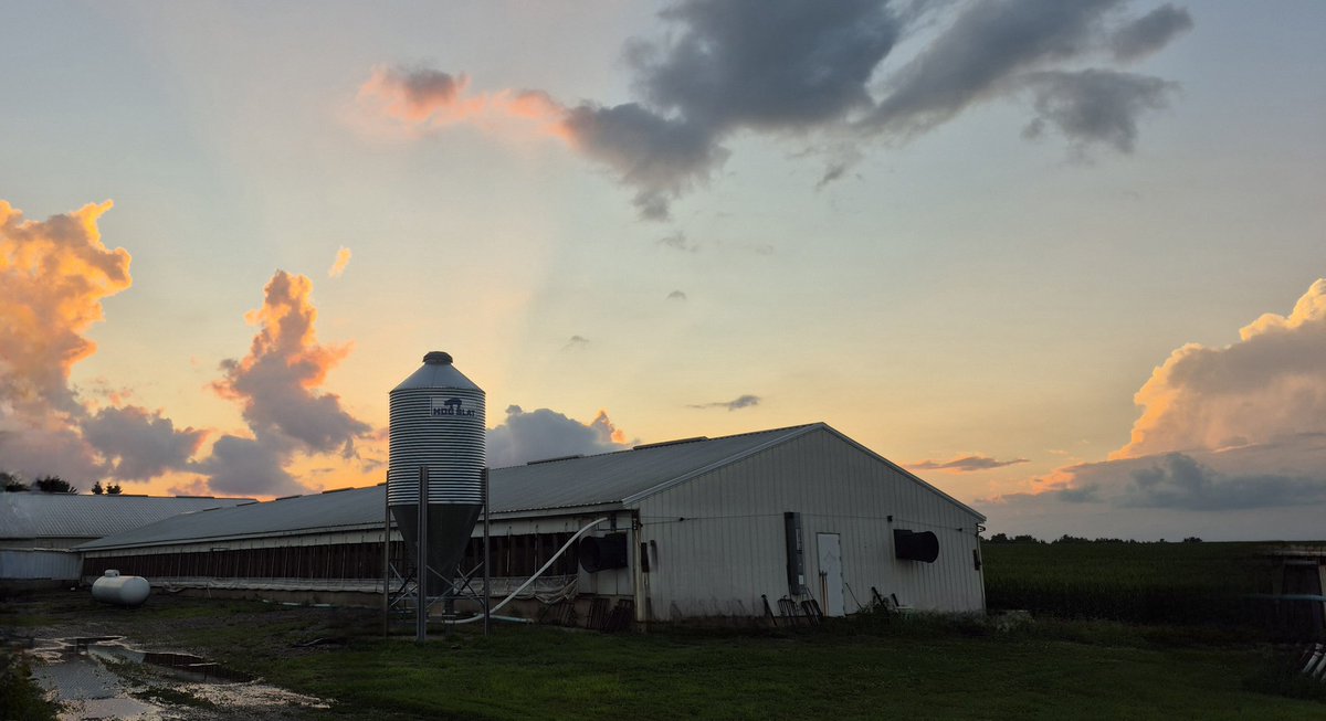 RickelmanSarah's tweet photo. Pink Skies🩷 'if you could see 'em now, you'd be proud'
#zachbryan #pinkskies #ruraliowa #myland #farming #livingmybestlife #livingourlegacy https://t.co/47di2rVMTf