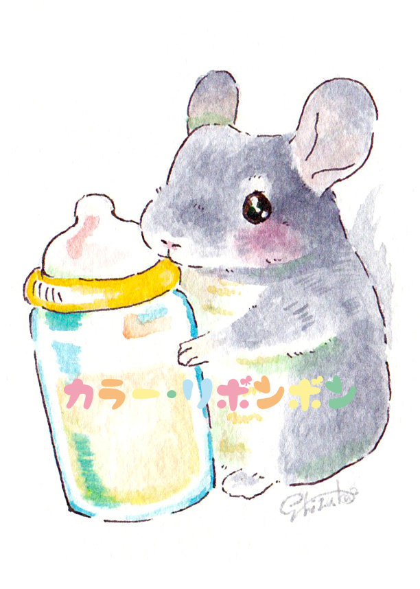 ちゃとら様❣️専用ページ しず華＊🐰🐭6/14チンチラマーケット (@shizuka_1329) / Posts / X