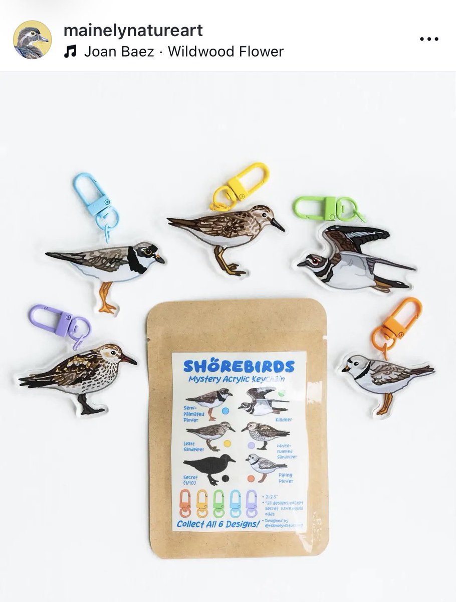 melodybirds_'s tweet photo. this artist i follow on instagram just dropped the CUTEST shorebird keychains and i need EVERYONE to go buy one right now!!! (link in reply!) https://t.co/KZDI6rkLES