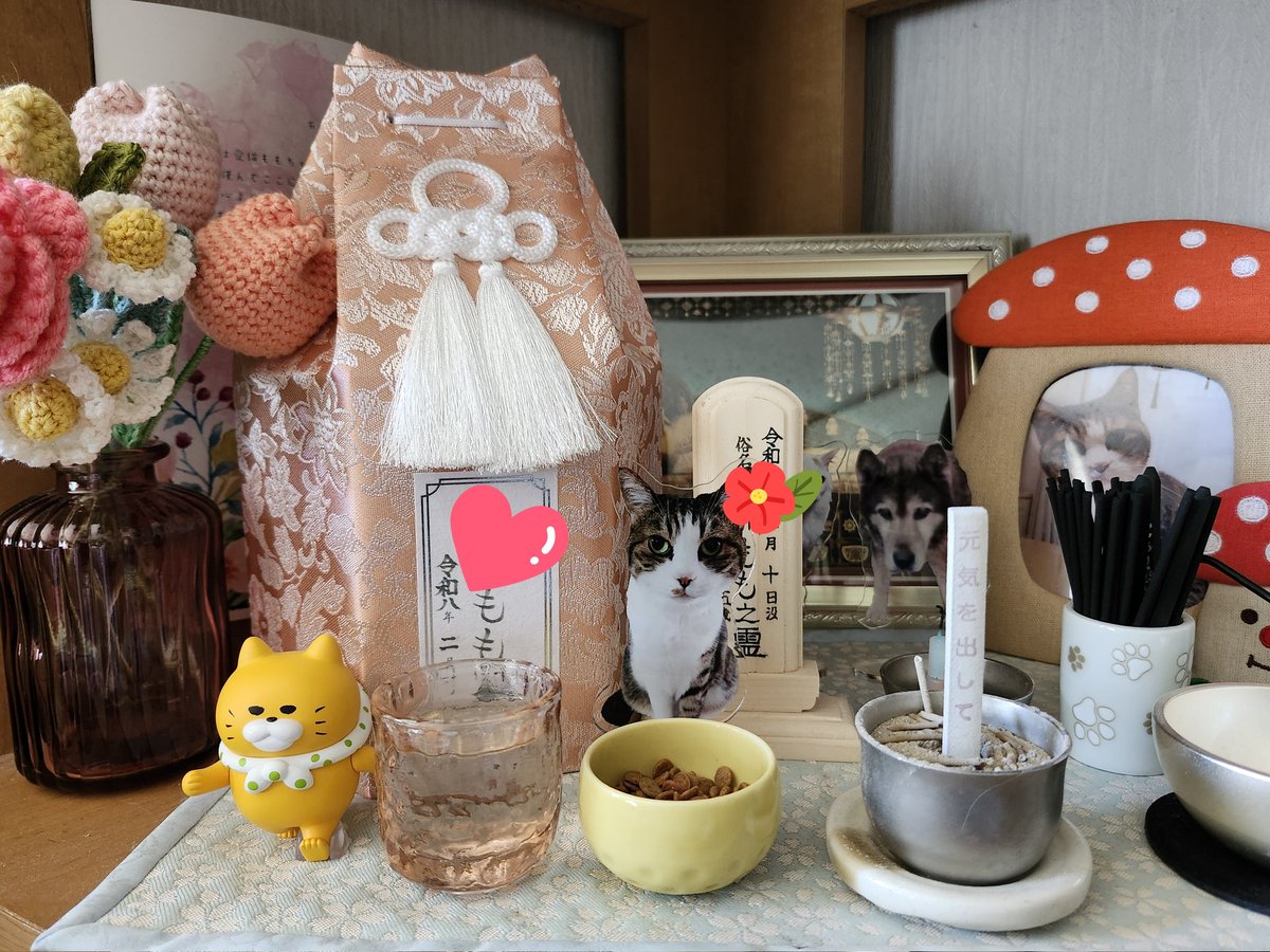 beetle_96's tweet photo. 今日はチョコ&amp;ミントの誕生日🎉17歳になりました✨
そして…ももちゃんの5回目の月命日。ももちゃんからのメッセージは｢元気を出して｣でした。ご飯を手から食べてる動画を見返してメソメソしてたのバレてたかな🥹#愛猫の誕生日　#おじいにゃんとおばあにゃん
#17歳は人間で84歳 https://t.co/fiS93d3QJD