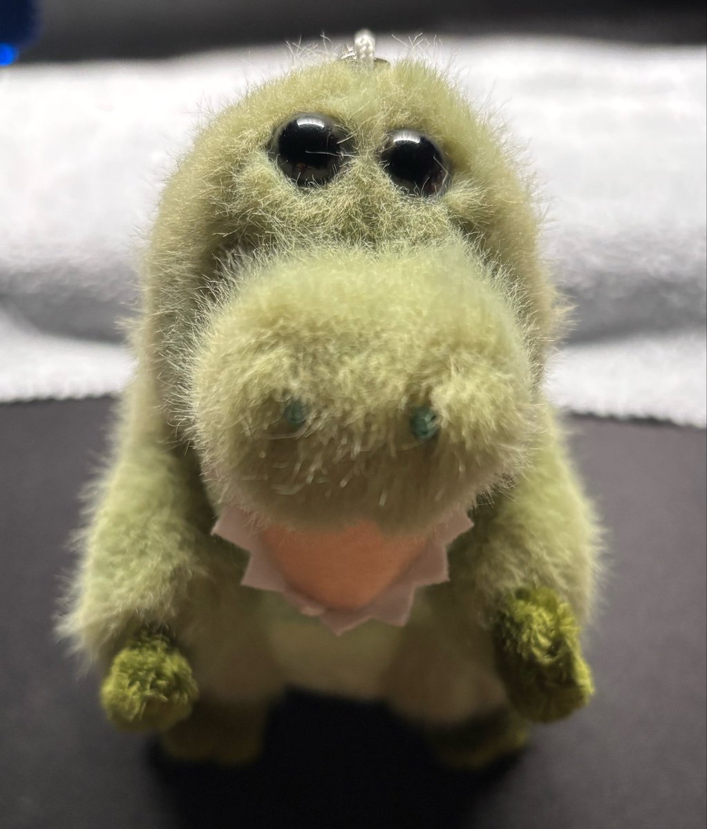 Noooise__'s tweet photo. ずっと欲しかったワーリーくんゲットできた😭😭
パヤパヤでかわいい😭😭😭 https://t.co/UKiDVy5rWT