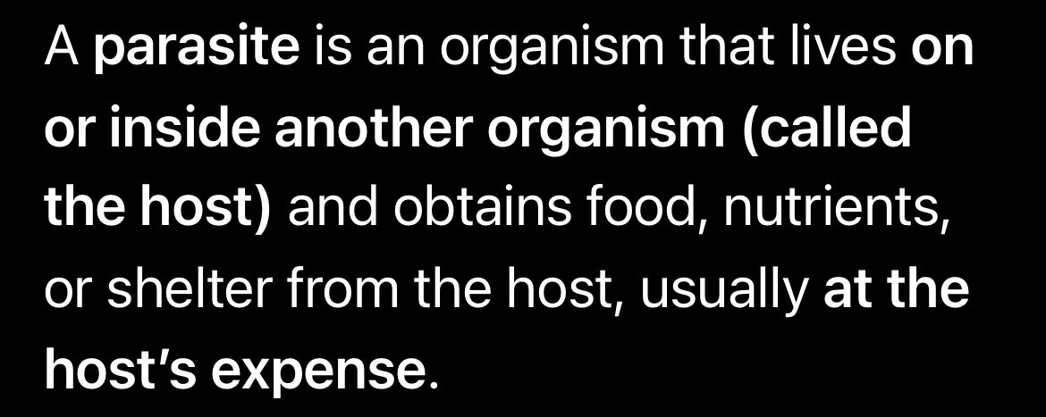 Kalev14e's tweet photo. @ElapidPython @JadeK526 When you’re gambling you know you’re going to lose money when people are having sex they know they might have a baby that’s why they use protection. Sex isn’t just for procreation https://t.co/LWUDDzn37F